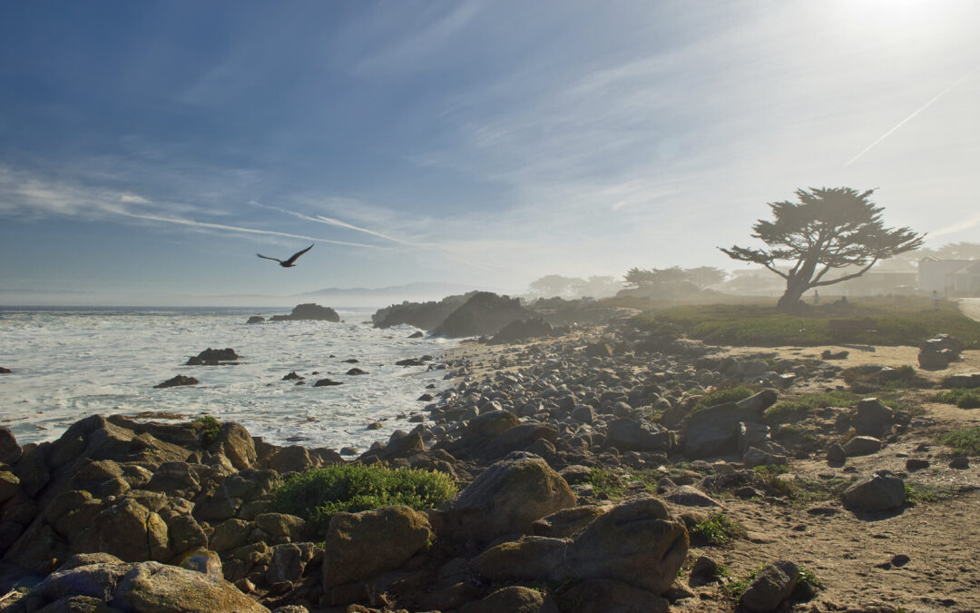 The Meaning Behind the Symbols: